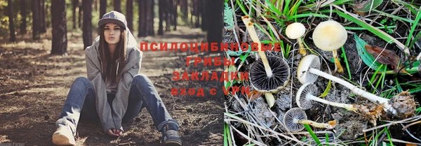 spice Алексеевка