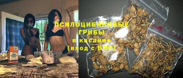 spice Алексеевка