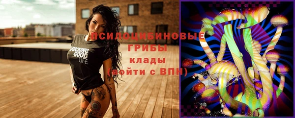 spice Алексеевка