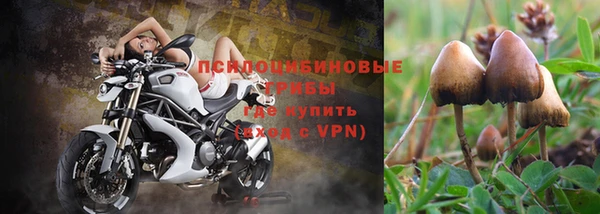бошки Алексин